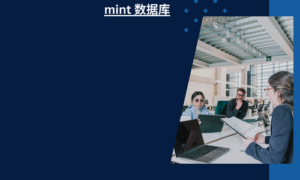 mint 数据库